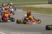 DSC_0020 (3)